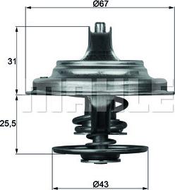 Wilmink Group WG2401494 - Thermostat d'eau cwaw.fr