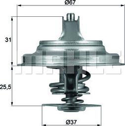 Wilmink Group WG2401498 - Thermostat d'eau cwaw.fr