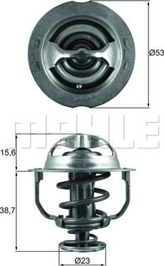 Wilmink Group WG2401489 - Thermostat d'eau cwaw.fr