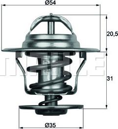 Wilmink Group WG2401482 - Thermostat d'eau cwaw.fr