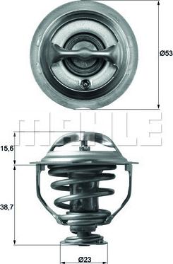 Wilmink Group WG2401475 - Thermostat d'eau cwaw.fr