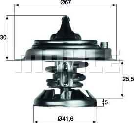 Wilmink Group WG2401506 - Thermostat d'eau cwaw.fr