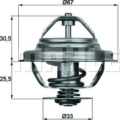 Wilmink Group WG2401503 - Thermostat d'eau cwaw.fr