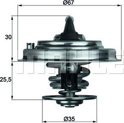 Wilmink Group WG2401514 - Thermostat d'eau cwaw.fr