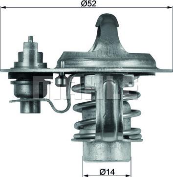 Wilmink Group WG2401530 - Thermostat d'eau cwaw.fr