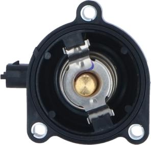 Wilmink Group WG2184651 - Thermostat d'eau cwaw.fr