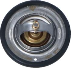 Wilmink Group WG2184688 - Thermostat d'eau cwaw.fr