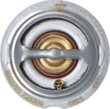 Wilmink Group WG2184808 - Thermostat d'eau cwaw.fr