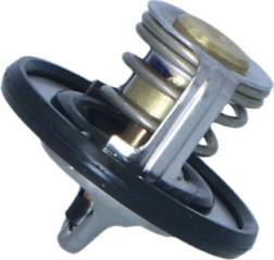 Wilmink Group WG2184807 - Thermostat d'eau cwaw.fr