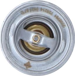 Wilmink Group WG2184813 - Thermostat d'eau cwaw.fr