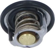 Wilmink Group WG2184746 - Thermostat d'eau cwaw.fr