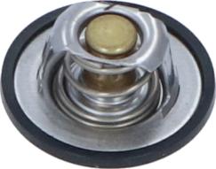 Wilmink Group WG2184755 - Thermostat d'eau cwaw.fr