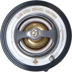 Wilmink Group WG2184751 - Thermostat d'eau cwaw.fr