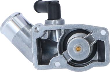 Wilmink Group WG2184769 - Thermostat d'eau cwaw.fr