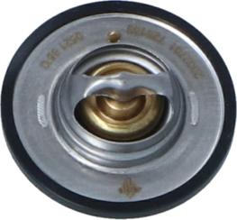 Wilmink Group WG2184788 - Thermostat d'eau cwaw.fr