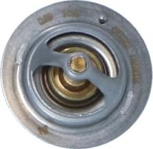 Wilmink Group WG2184739 - Thermostat d'eau cwaw.fr