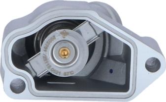 Wilmink Group WG2184734 - Thermostat d'eau cwaw.fr