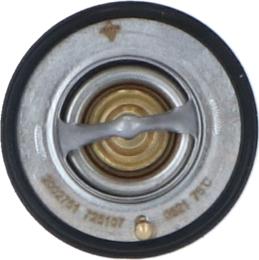 Wilmink Group WG2184727 - Thermostat d'eau cwaw.fr