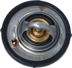 Wilmink Group WG2184770 - Thermostat d'eau cwaw.fr