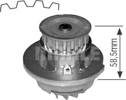 Wilmink Group WG2181578 - Pompe à eau cwaw.fr