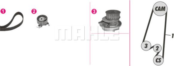 Wilmink Group WG2182199 - Pompe à eau + kit de courroie de distribution cwaw.fr