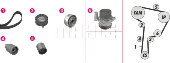 Wilmink Group WG2182194 - Pompe à eau + kit de courroie de distribution cwaw.fr