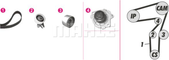 Wilmink Group WG2182190 - Pompe à eau + kit de courroie de distribution cwaw.fr