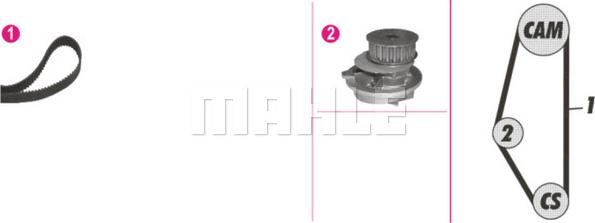 Wilmink Group WG2182149 - Pompe à eau + kit de courroie de distribution cwaw.fr