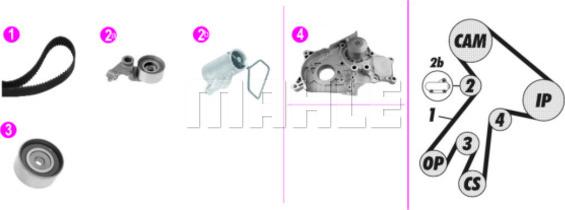 Wilmink Group WG2182143 - Pompe à eau + kit de courroie de distribution cwaw.fr