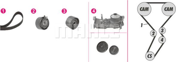 Wilmink Group WG2182147 - Pompe à eau + kit de courroie de distribution cwaw.fr