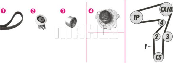 Wilmink Group WG2182154 - Pompe à eau + kit de courroie de distribution cwaw.fr