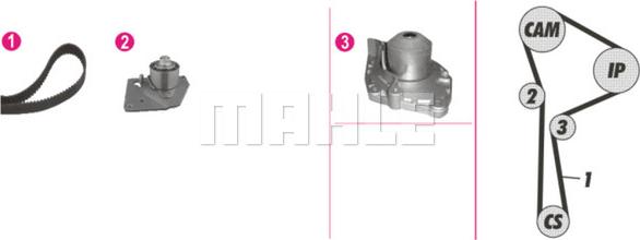 Wilmink Group WG2182156 - Pompe à eau + kit de courroie de distribution cwaw.fr