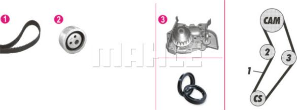 Wilmink Group WG2182153 - Pompe à eau + kit de courroie de distribution cwaw.fr