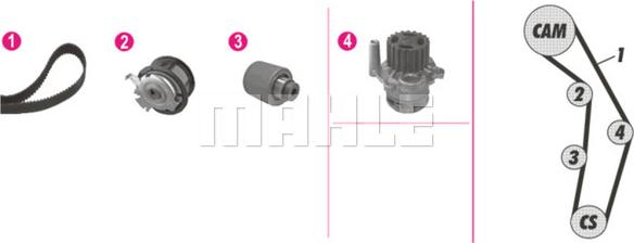 Wilmink Group WG2182157 - Pompe à eau + kit de courroie de distribution cwaw.fr