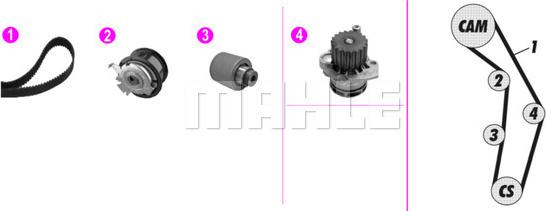 Wilmink Group WG2182160 - Pompe à eau + kit de courroie de distribution cwaw.fr