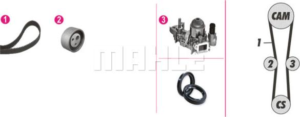 Wilmink Group WG2182162 - Pompe à eau + kit de courroie de distribution cwaw.fr