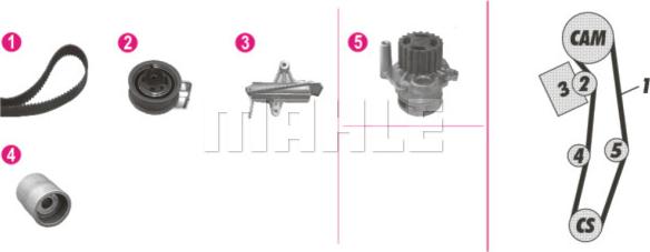 Wilmink Group WG2182109 - Pompe à eau + kit de courroie de distribution cwaw.fr