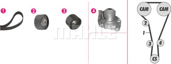 Wilmink Group WG2182106 - Pompe à eau + kit de courroie de distribution cwaw.fr