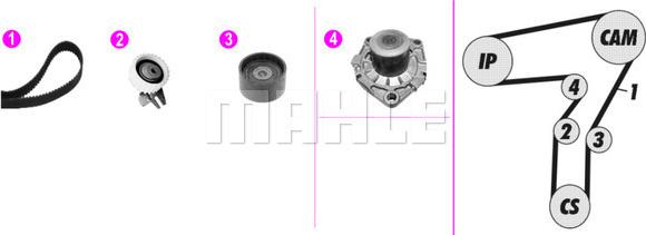 Wilmink Group WG2182103 - Pompe à eau + kit de courroie de distribution cwaw.fr