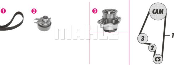 Wilmink Group WG2182102 - Pompe à eau + kit de courroie de distribution cwaw.fr