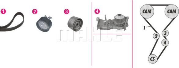 Wilmink Group WG2182119 - Pompe à eau + kit de courroie de distribution cwaw.fr