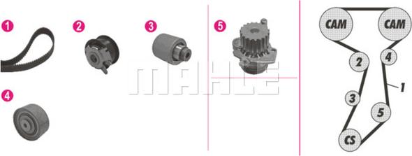 Wilmink Group WG2182114 - Pompe à eau + kit de courroie de distribution cwaw.fr