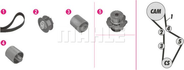 Wilmink Group WG2182117 - Pompe à eau + kit de courroie de distribution cwaw.fr