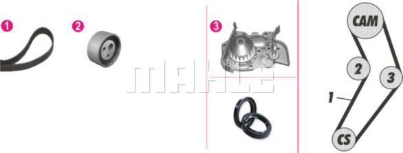 Wilmink Group WG2182182 - Pompe à eau + kit de courroie de distribution cwaw.fr