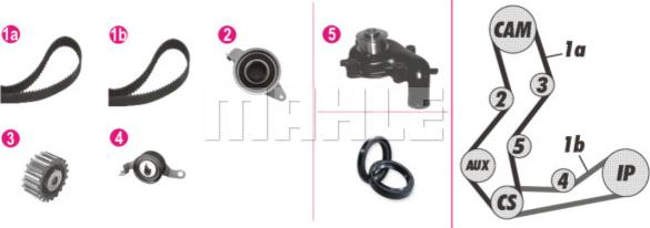 Wilmink Group WG2182187 - Pompe à eau + kit de courroie de distribution cwaw.fr