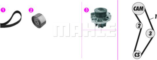 Wilmink Group WG2182139 - Pompe à eau + kit de courroie de distribution cwaw.fr