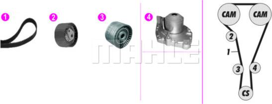 Wilmink Group WG2182136 - Pompe à eau + kit de courroie de distribution cwaw.fr