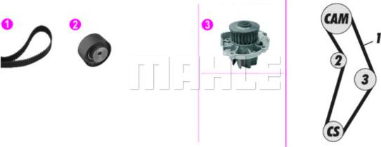 Wilmink Group WG2182133 - Pompe à eau + kit de courroie de distribution cwaw.fr