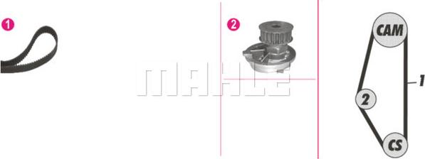 Wilmink Group WG2182129 - Pompe à eau + kit de courroie de distribution cwaw.fr