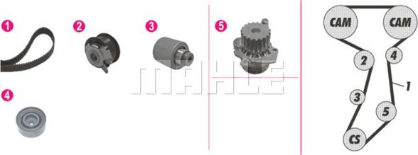 Wilmink Group WG2182124 - Pompe à eau + kit de courroie de distribution cwaw.fr